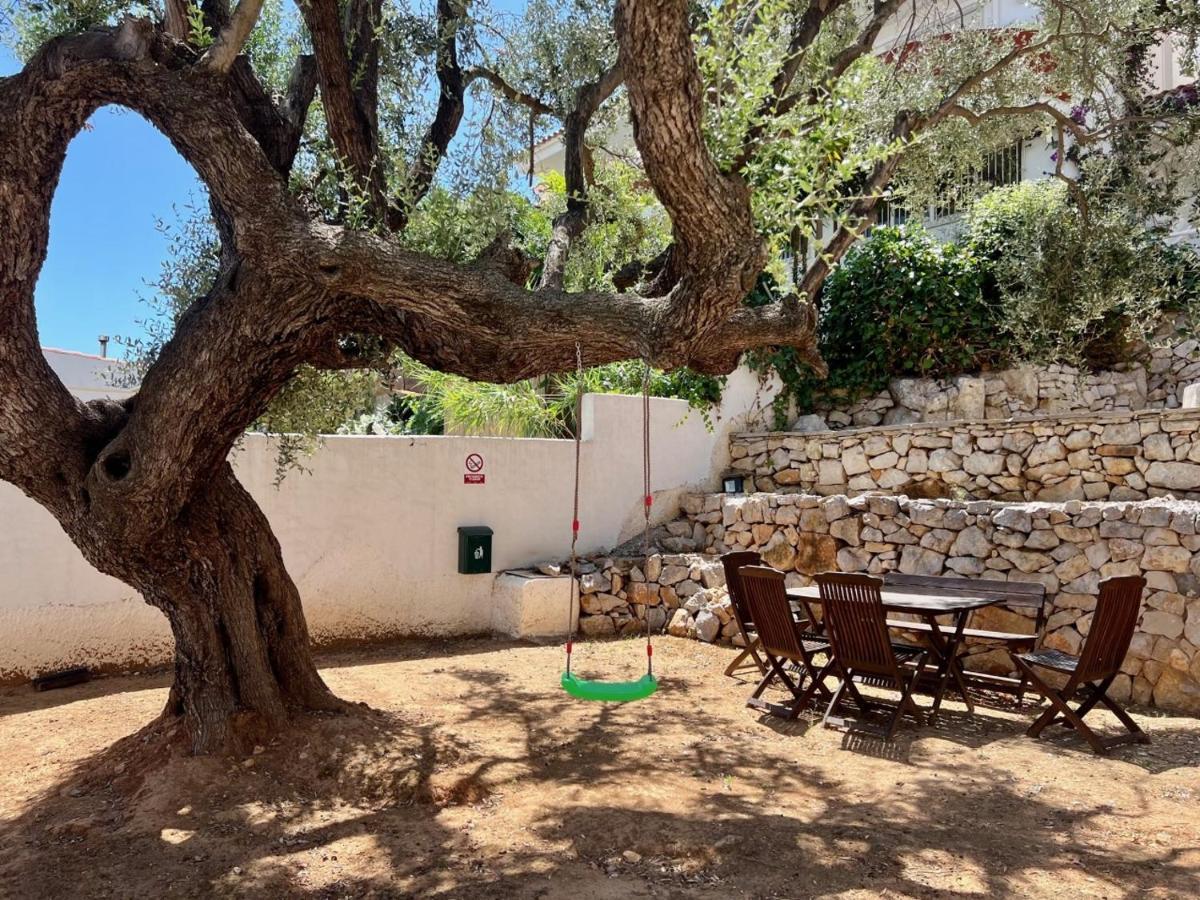 Palmitos Peñiscola
